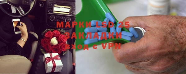 apvp Алзамай
