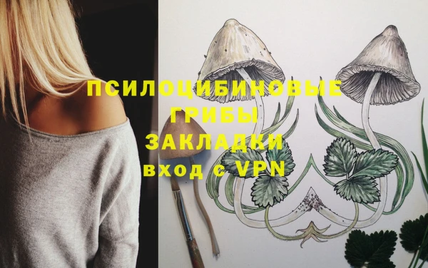 амф Алексин