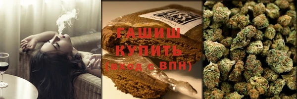 apvp Алзамай
