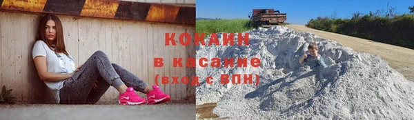 амф Алексин