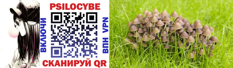 купить наркотик  Сортавала  Псилоцибиновые грибы MAGIC MUSHROOMS 